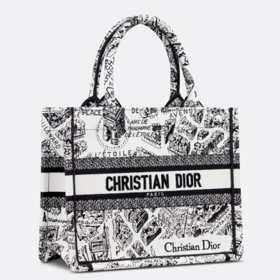 Dior Small Book Tote Bag In White Plan de Paris Embroidery